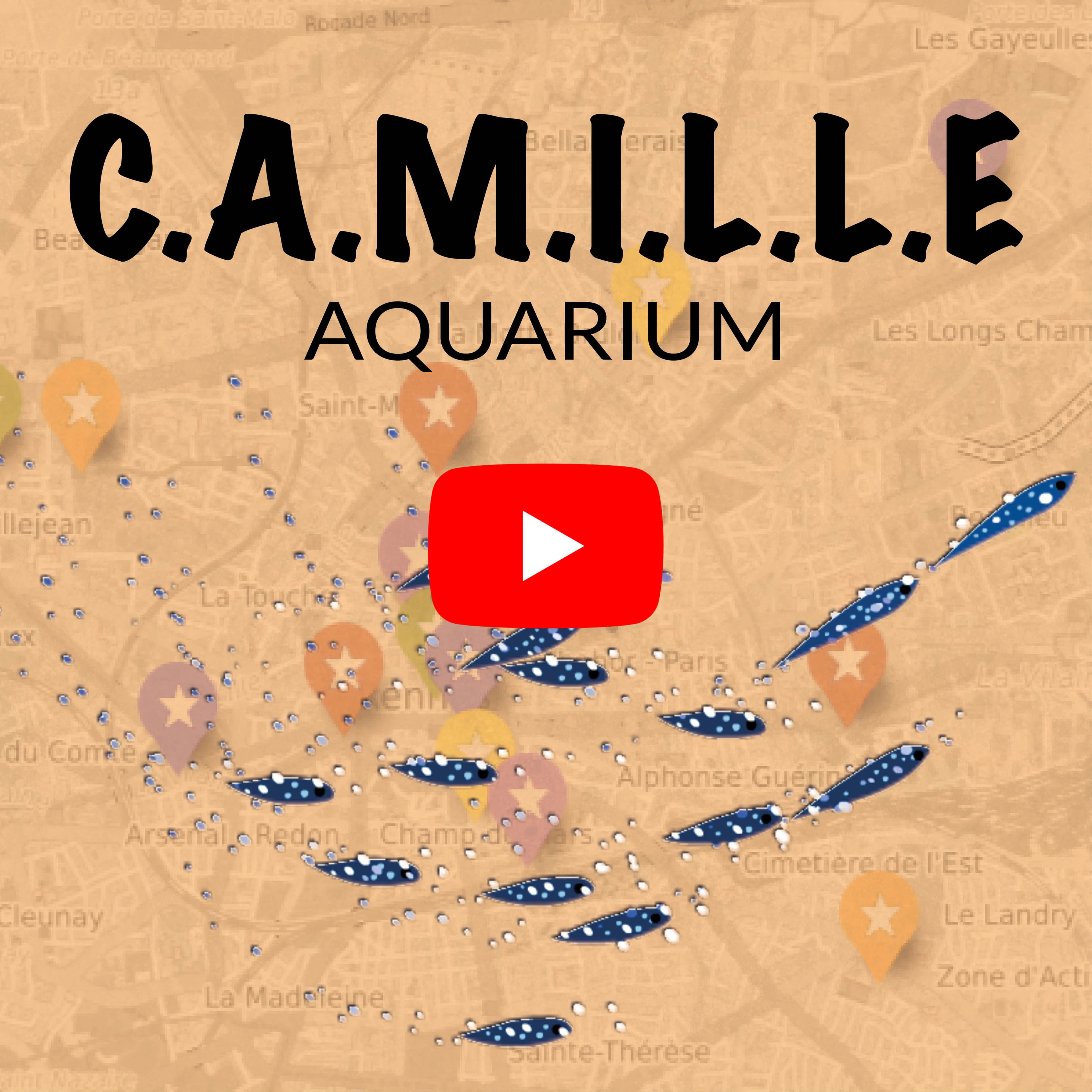 L'aquarium de Camille Saint-Saëns expliqué par Gildas Pungier