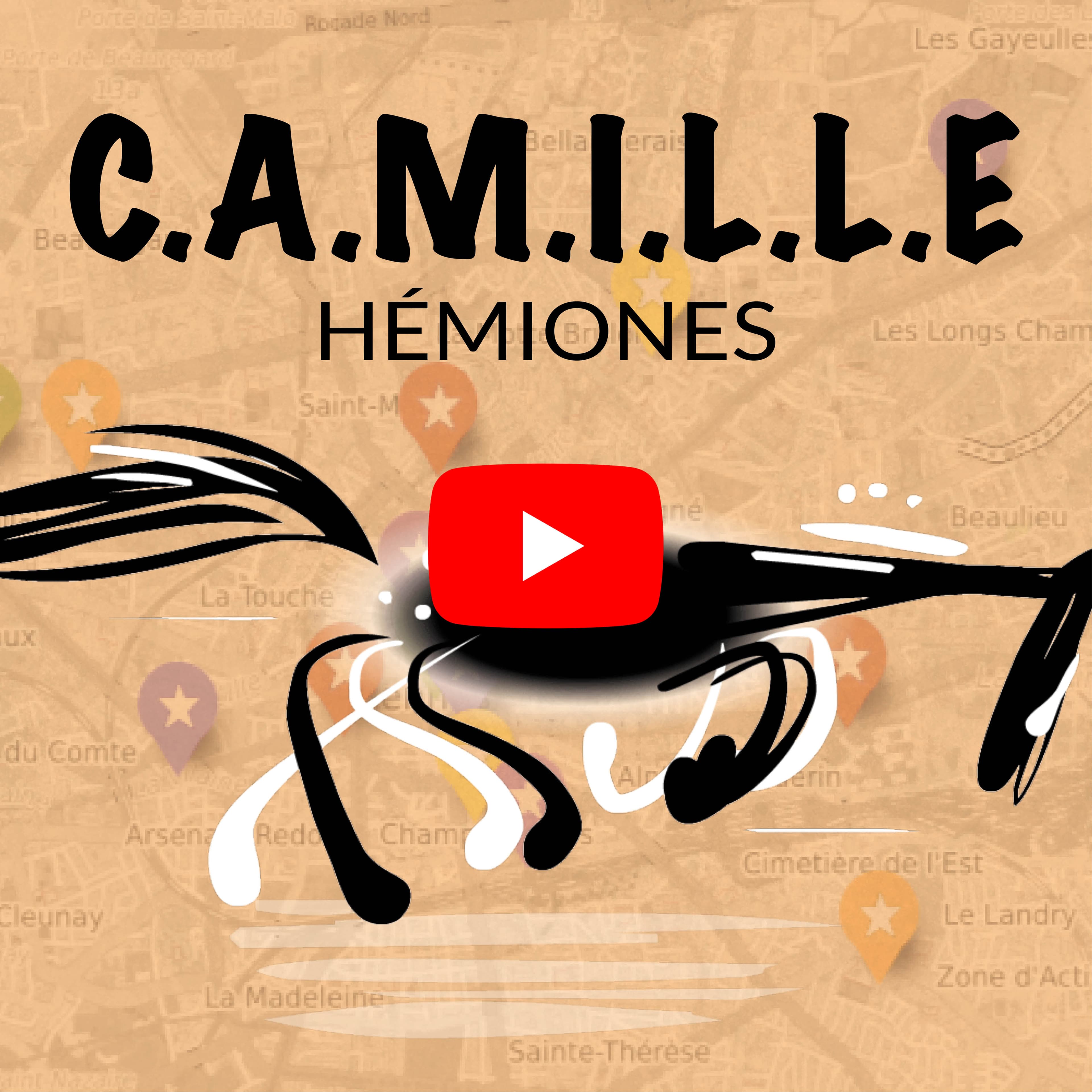 Les hémiones de Camille Saint-Saëns expliquées par Gildas Pungier