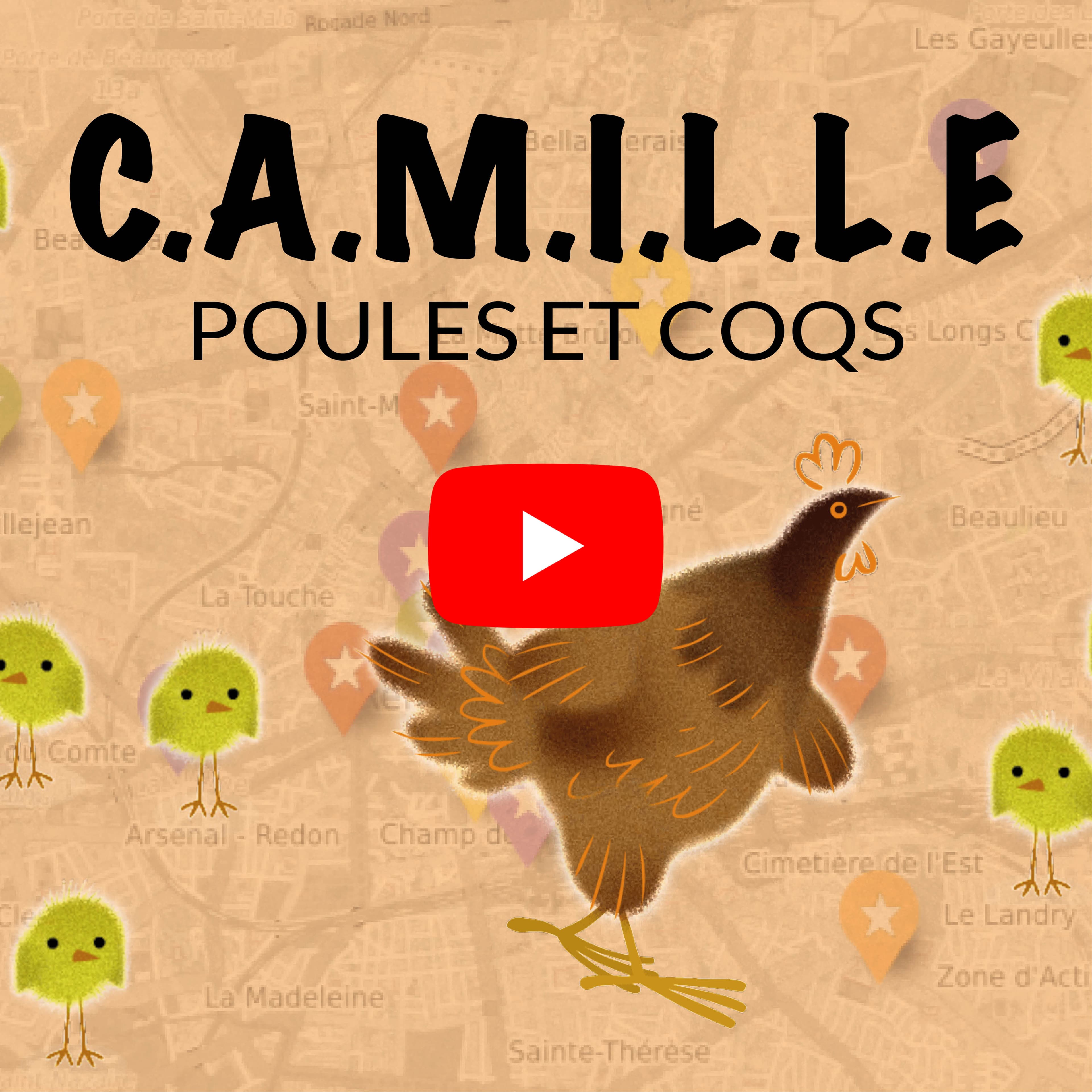 Les poules et coqs de Camille Saint-Saëns expliqués par Gildas Pungier